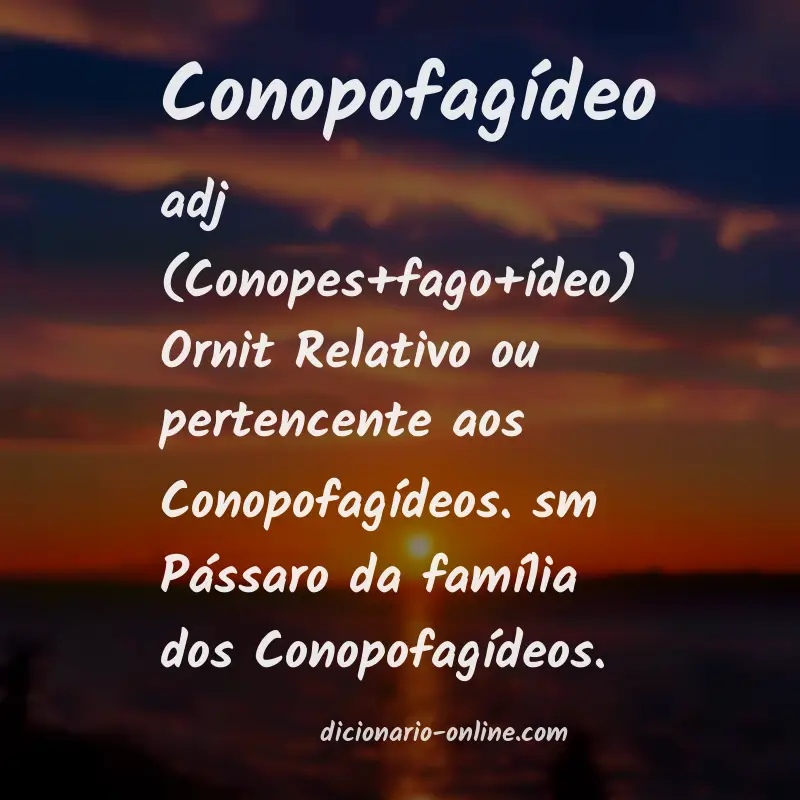 Significado de conopofagídeo