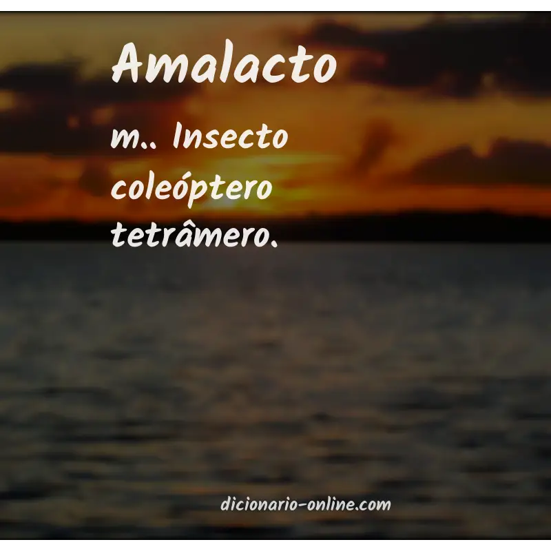 Significado de amalacto