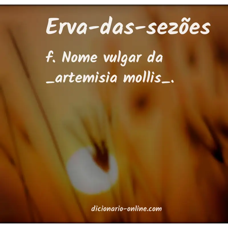 Significado de erva-das-sezões