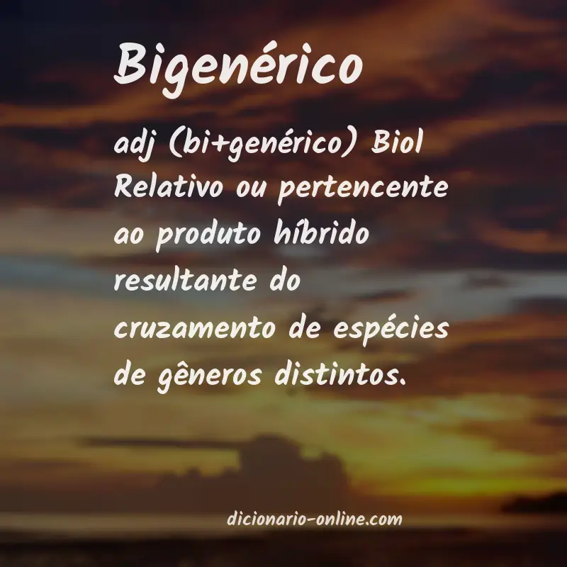 Significado de bigenérico