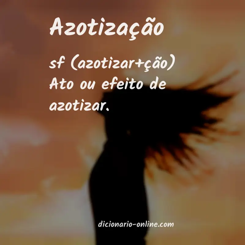 Significado de azotização