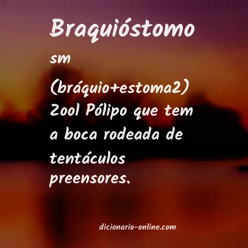 Significado de braquióstomo