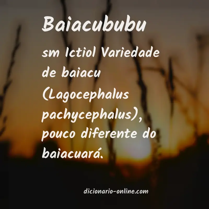 Significado de baiacububu