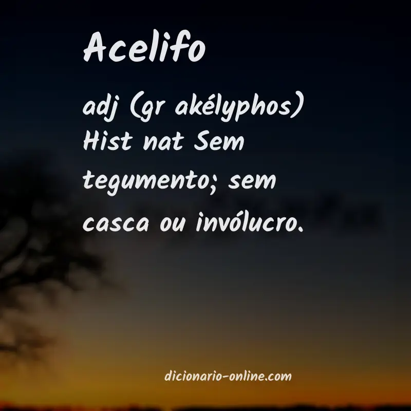 Significado de acelifo