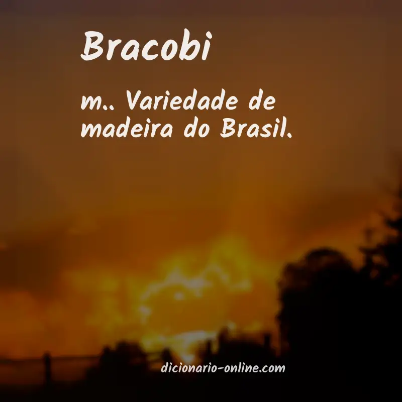 Significado de bracobi