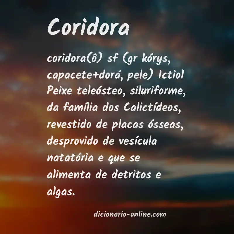 Significado de coridora