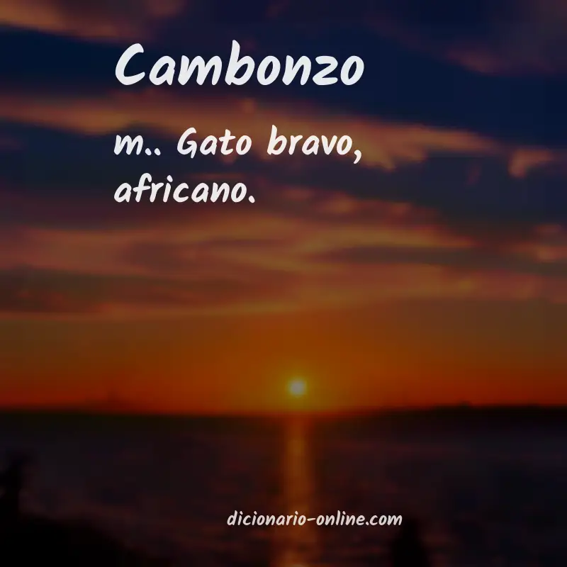 Significado de cambonzo