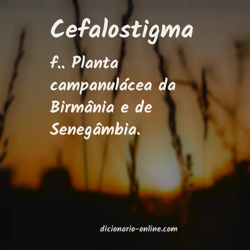 Significado de cefalostigma
