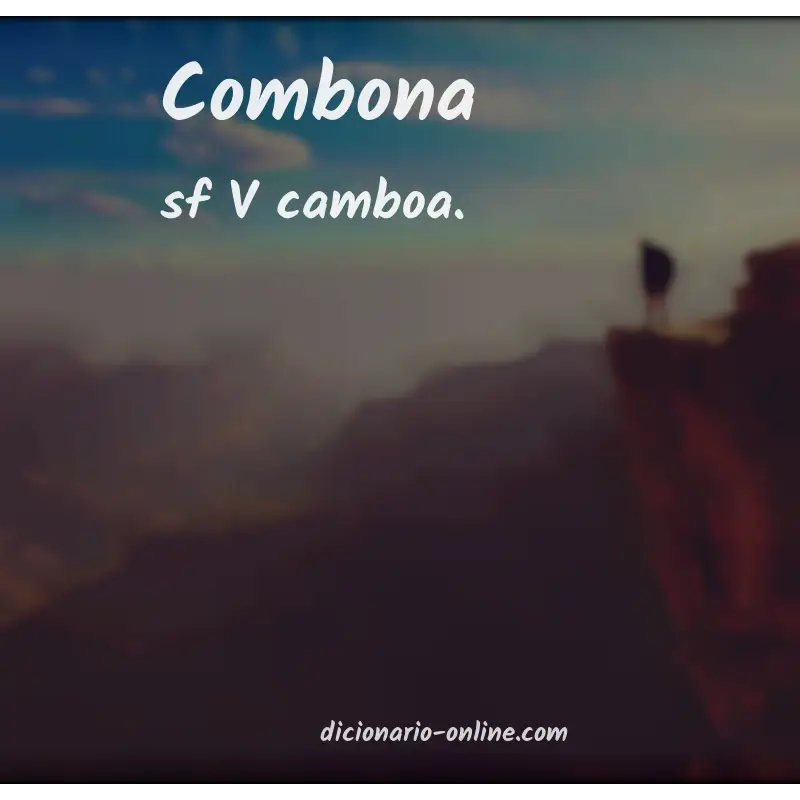 Significado de combona