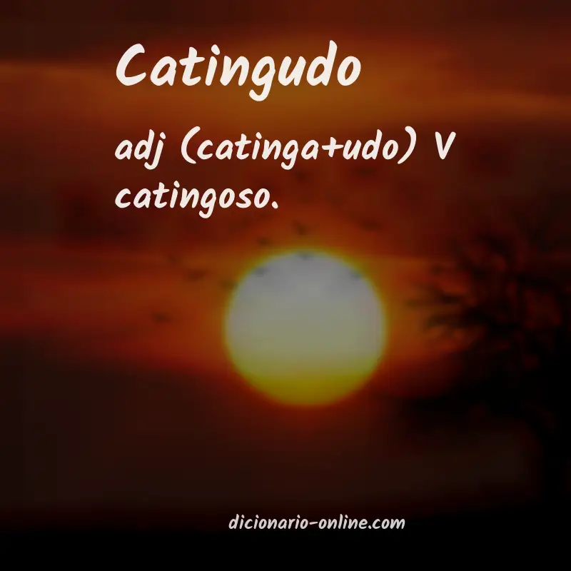 Significado de catingudo