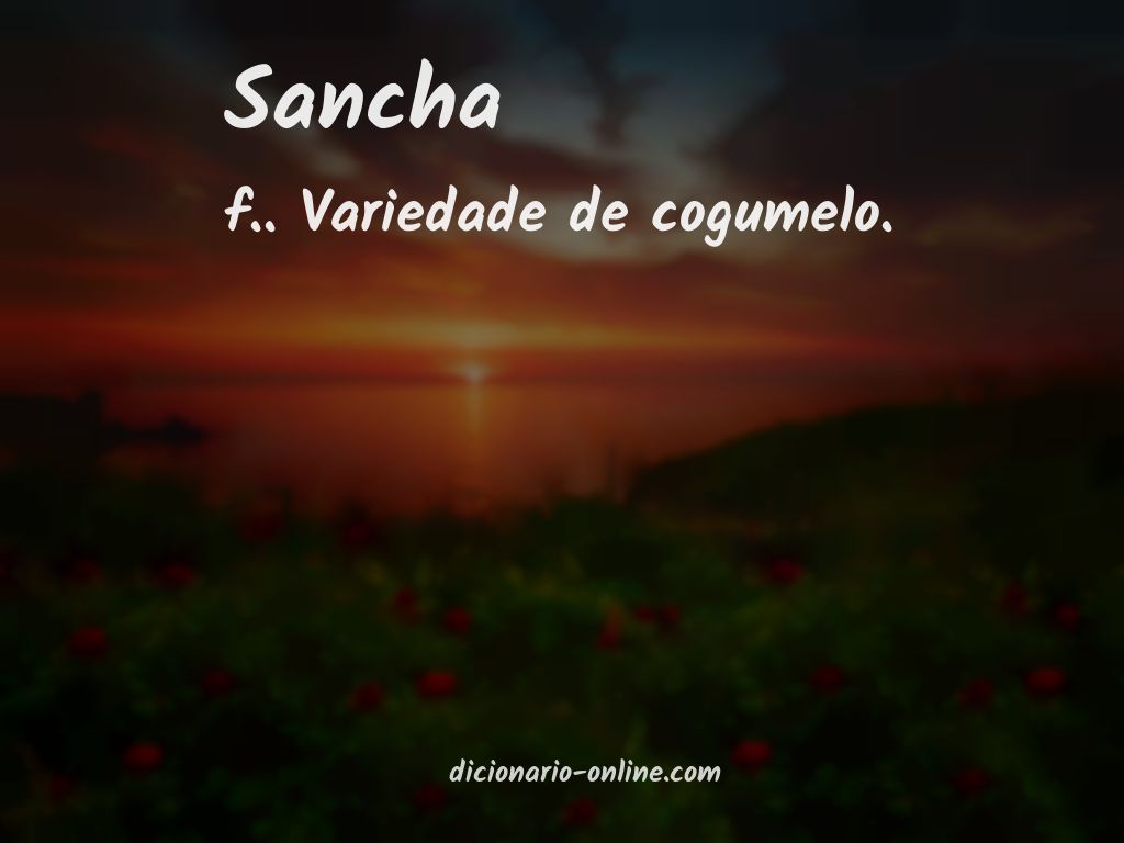 Significado de sancha