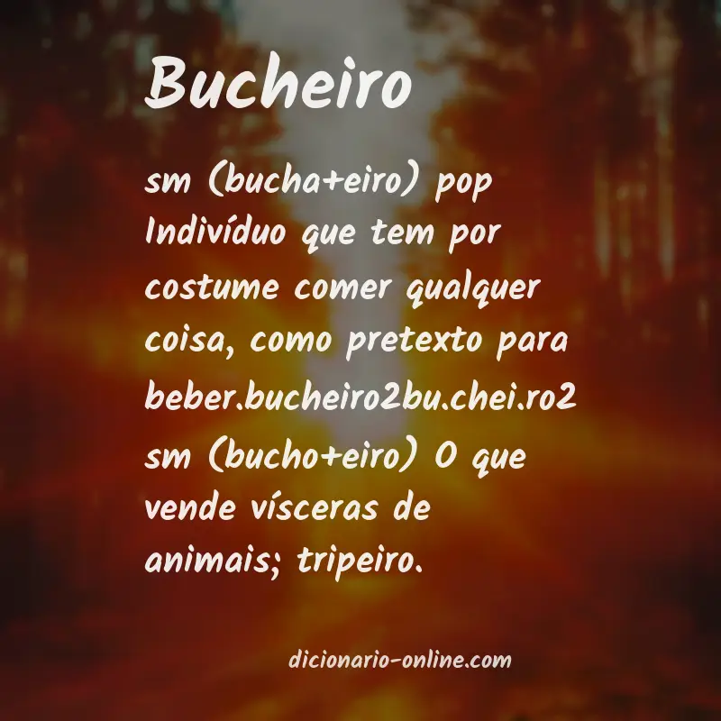 Significado de bucheiro
