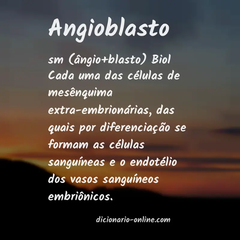Significado de angioblasto
