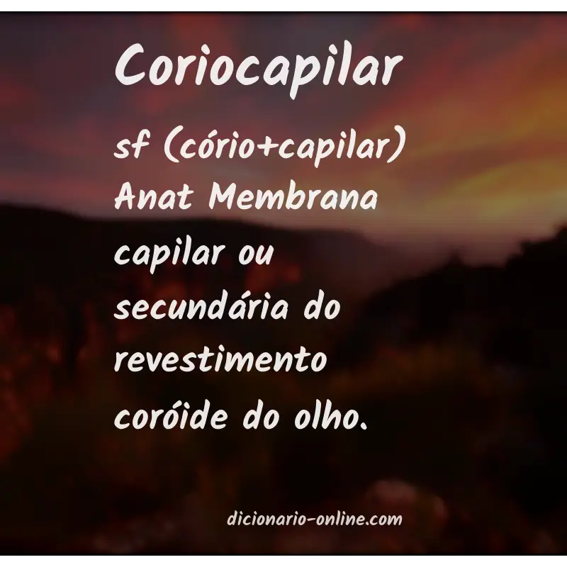 Significado de coriocapilar