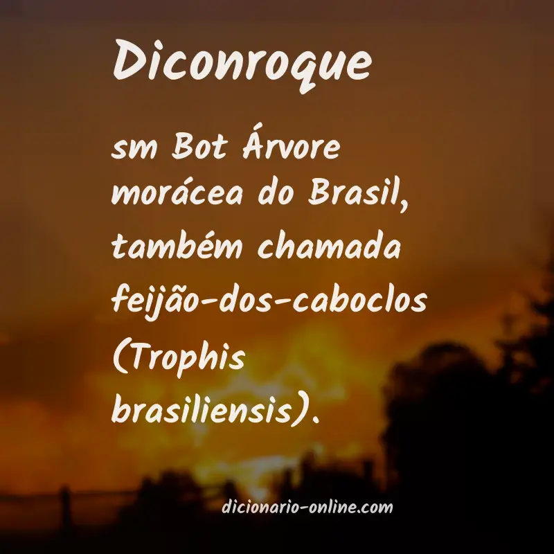Significado de diconroque