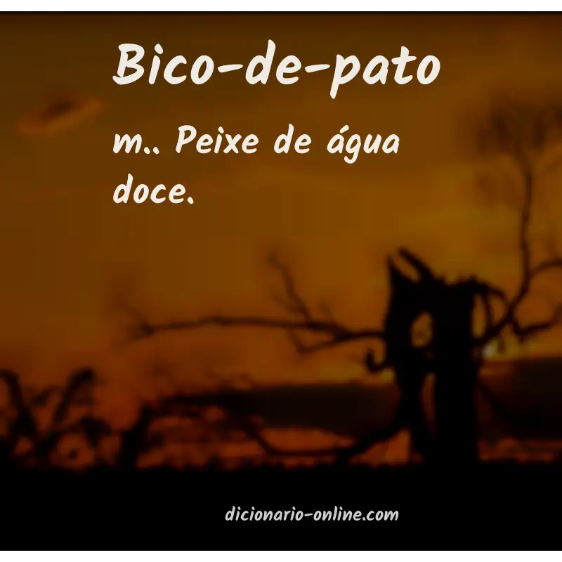 Significado de bico-de-pato