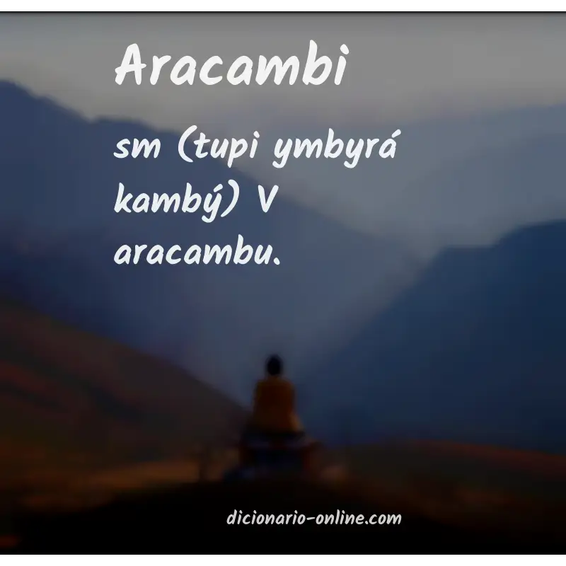 Significado de aracambi