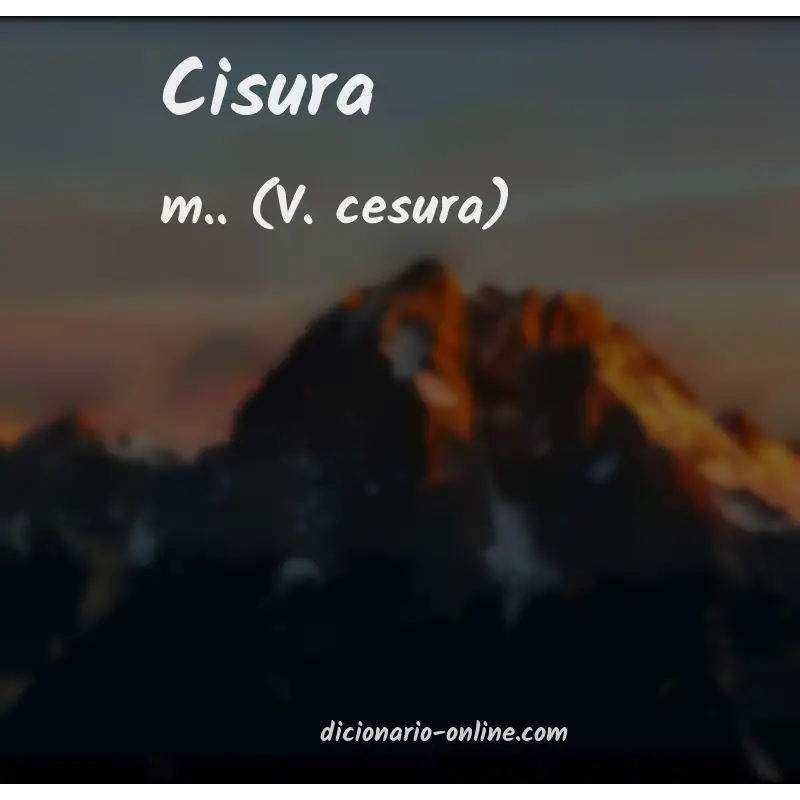 Significado de cisura