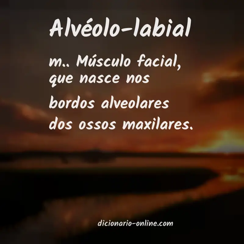 Significado de alvéolo-labial