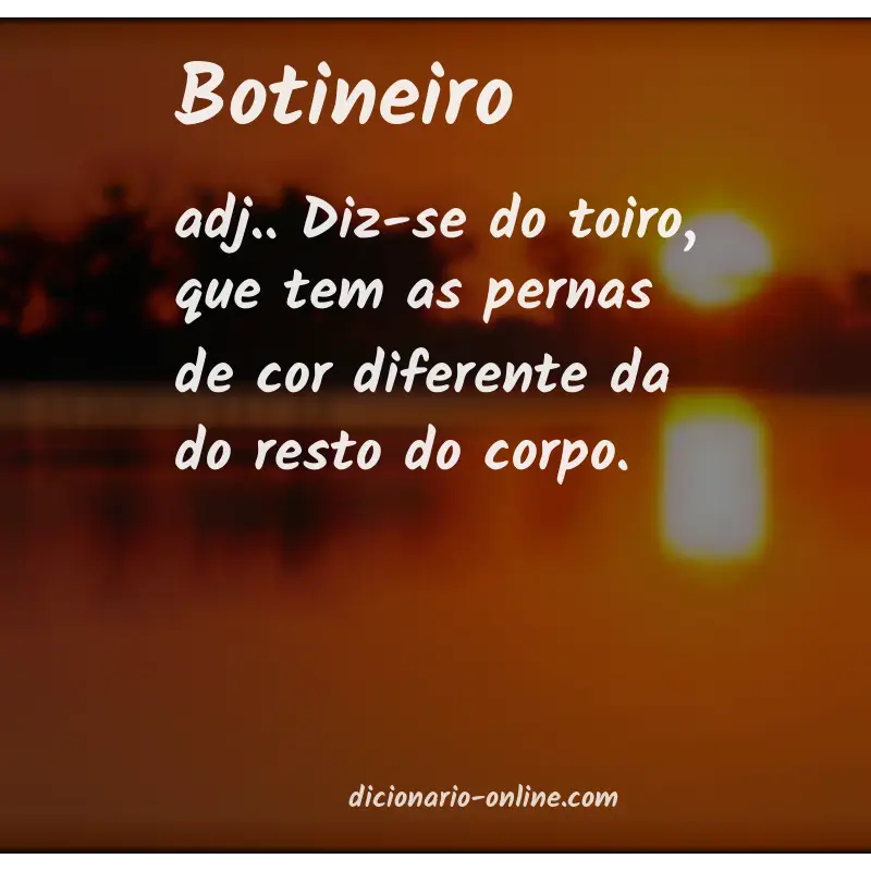 Significado de botineiro