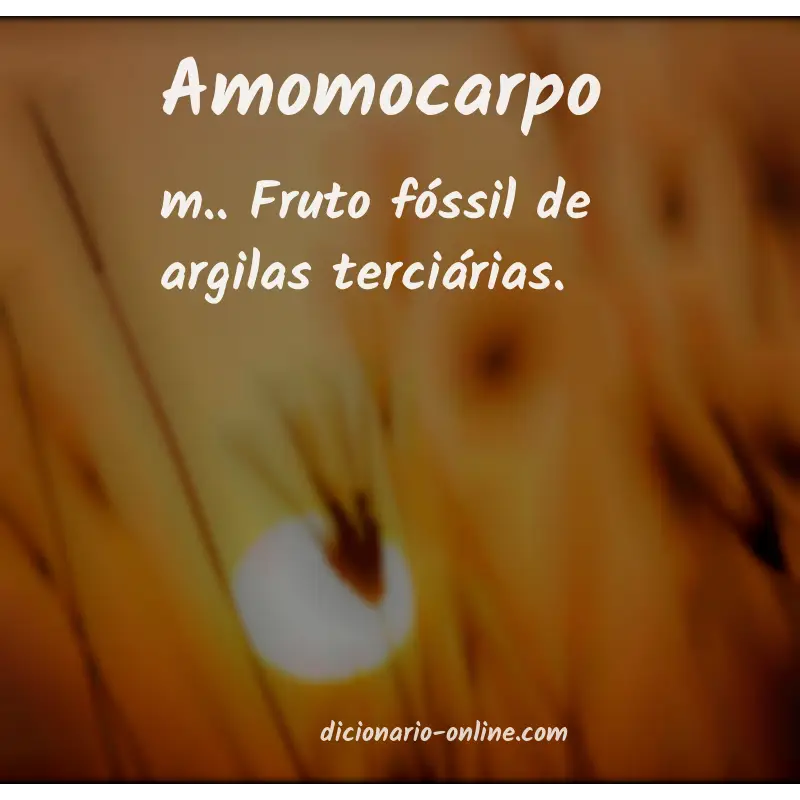 Significado de amomocarpo