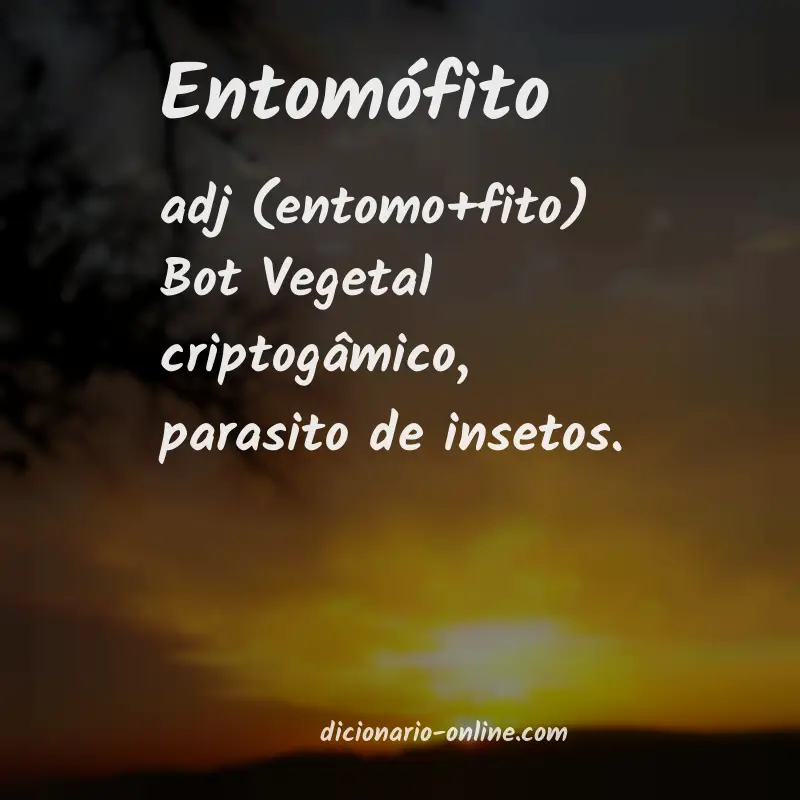 Significado de entomófito