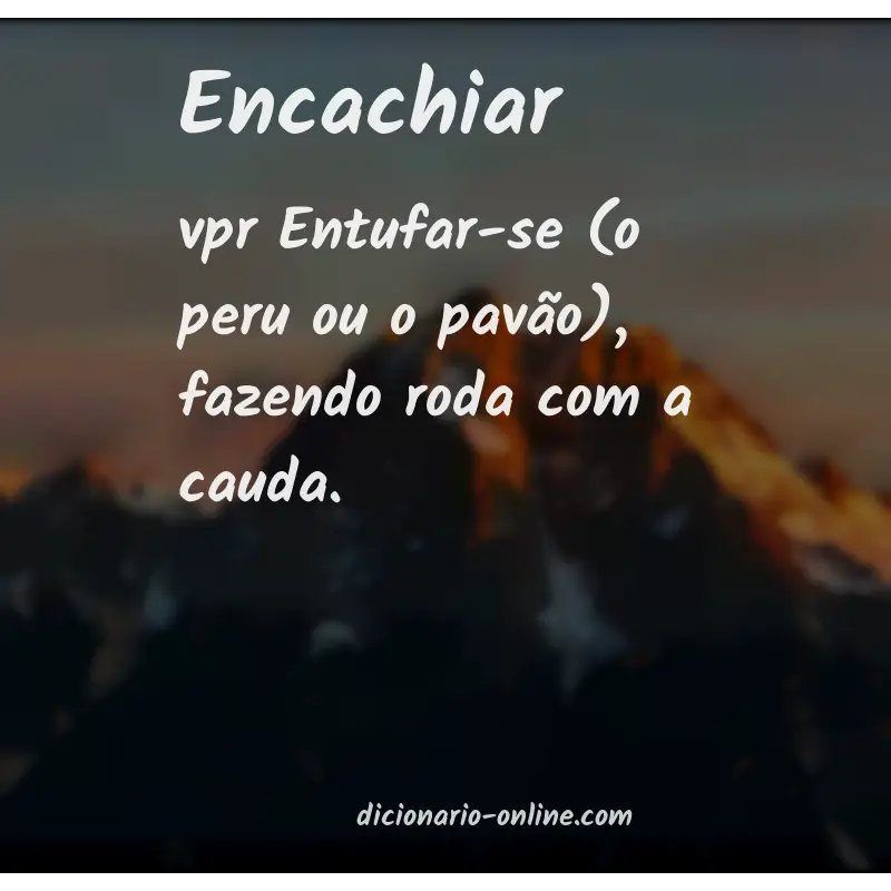 Significado de encachiar