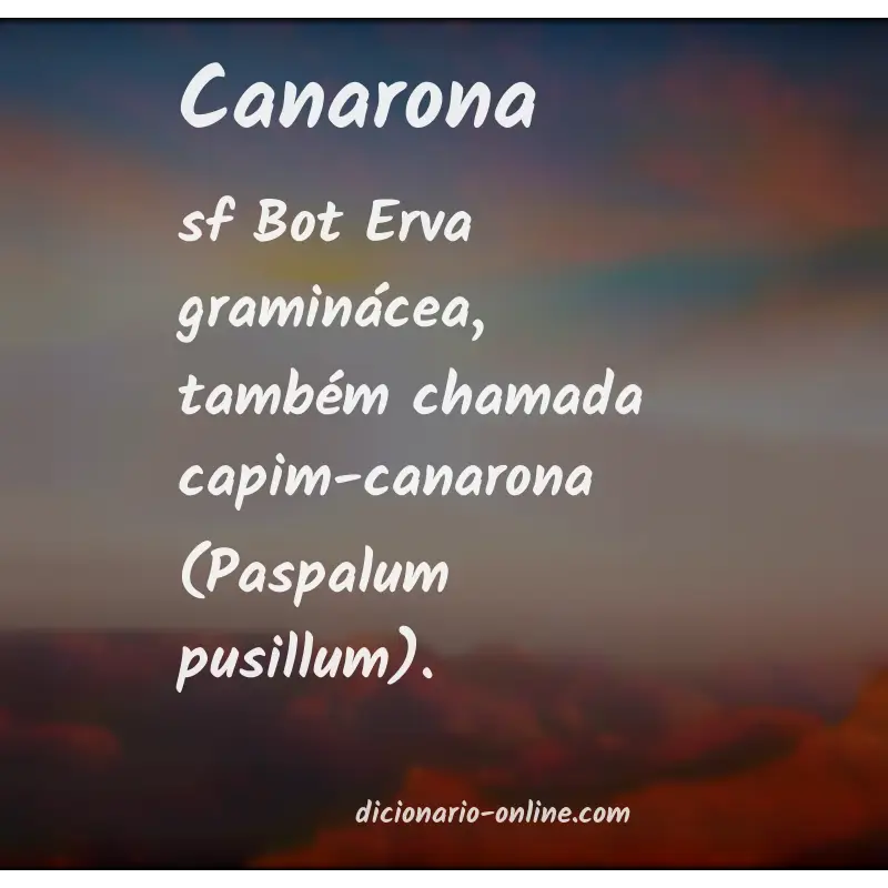 Significado de canarona