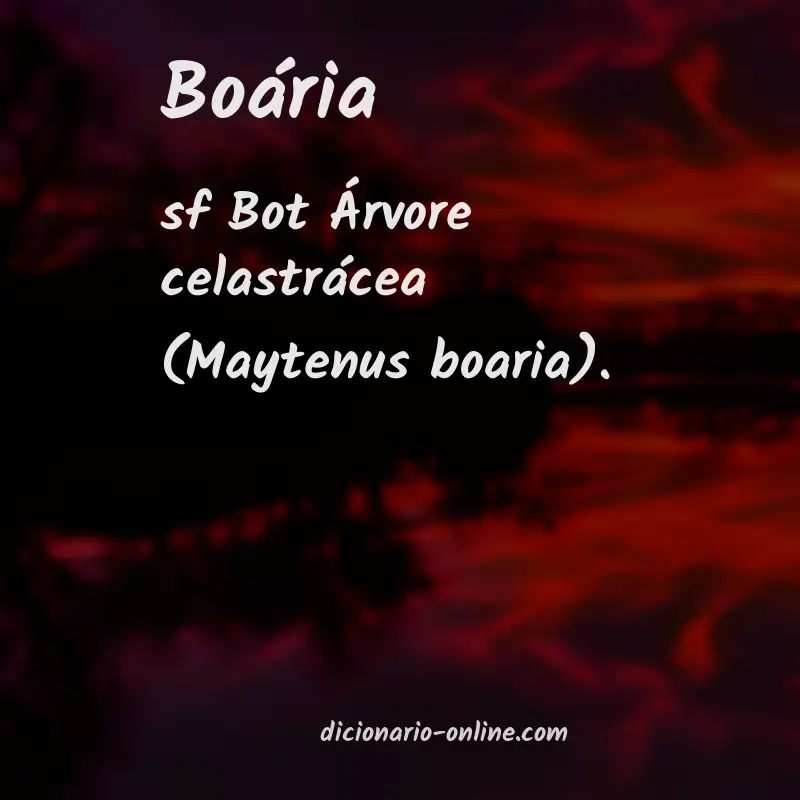 Significado de boária