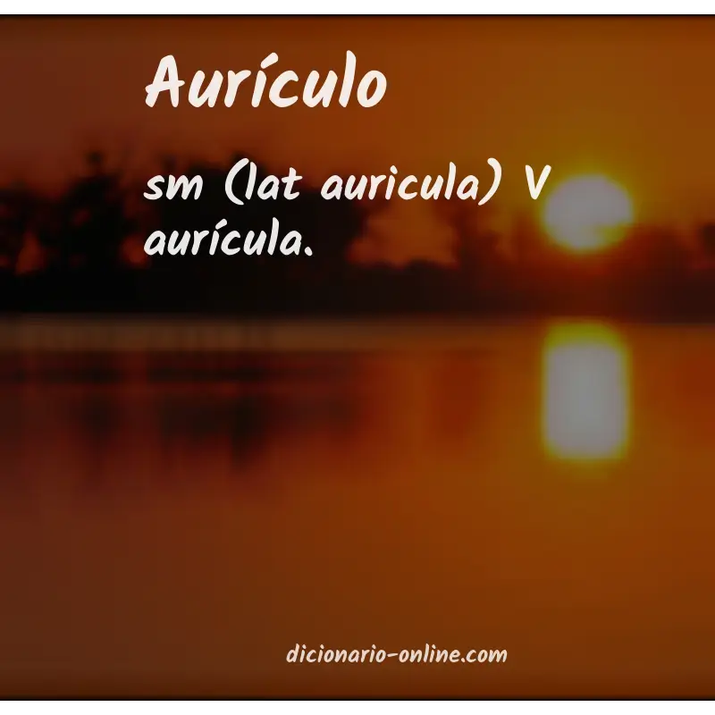 Significado de aurículo