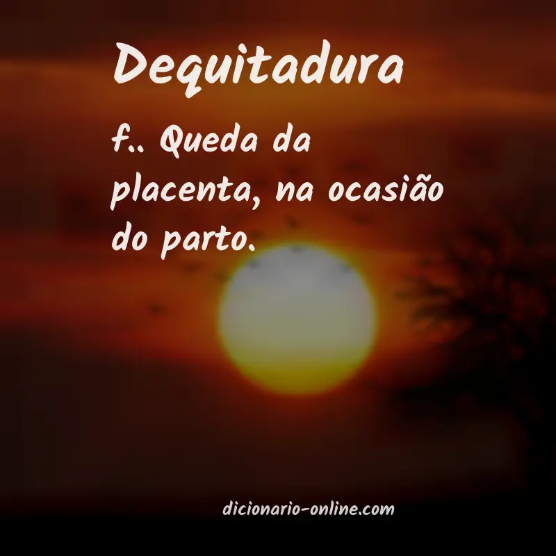 Significado de dequitadura