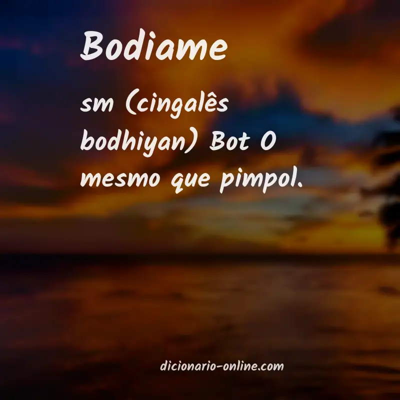 Significado de bodiame