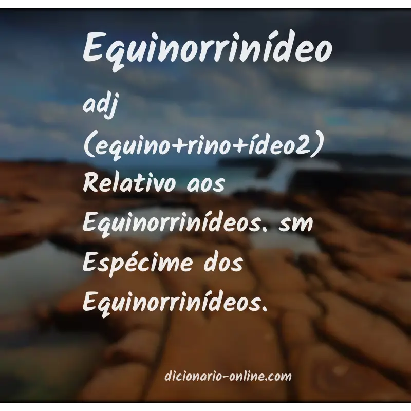 Significado de equinorrinídeo