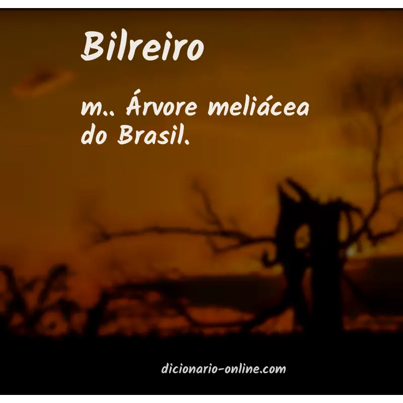 Significado de bilreiro