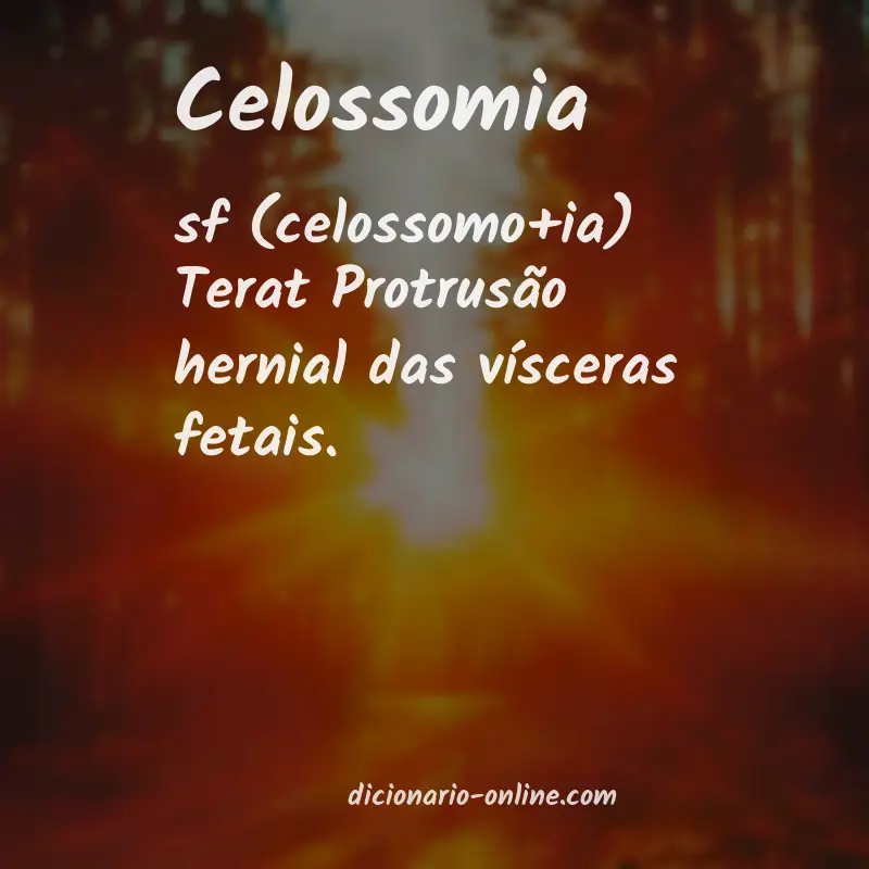 Significado de celossomia