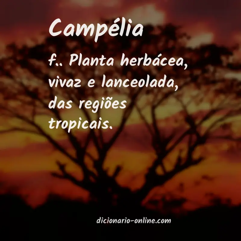 Significado de campélia