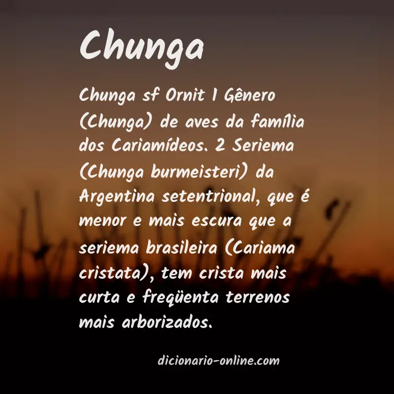 Significado de chunga