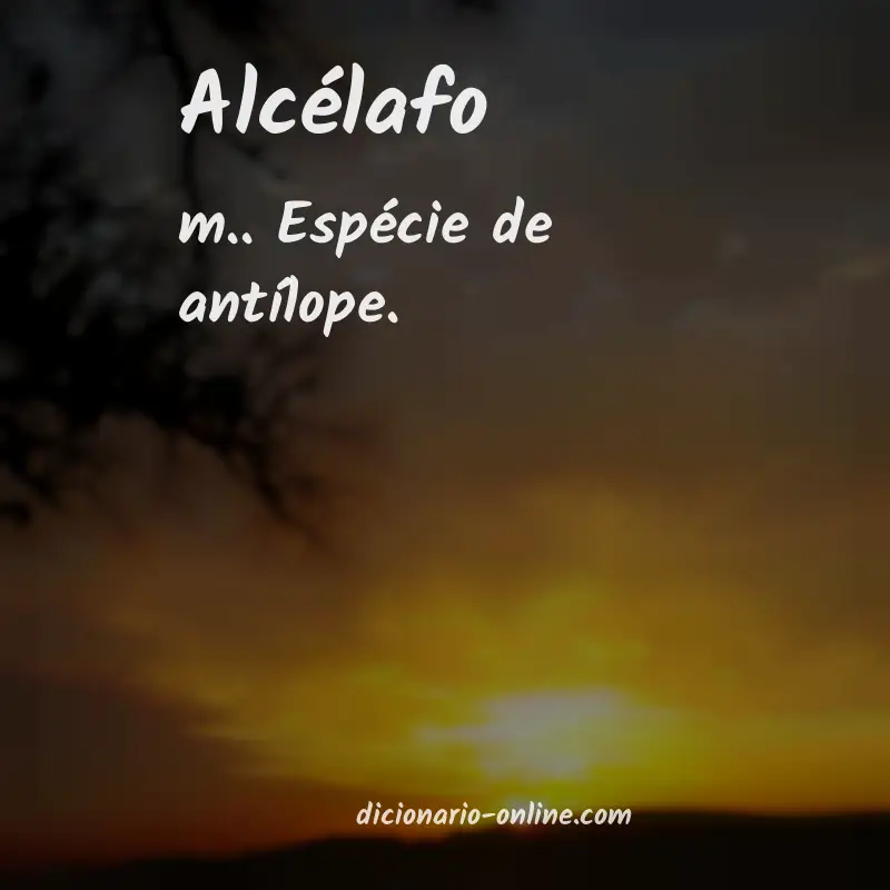 Significado de alcélafo