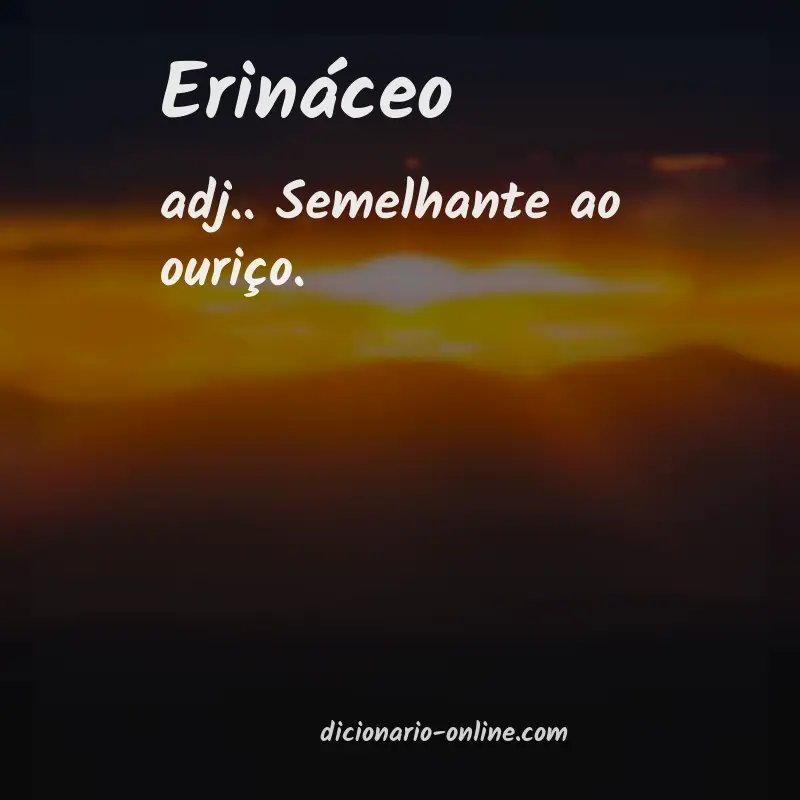 Significado de erináceo