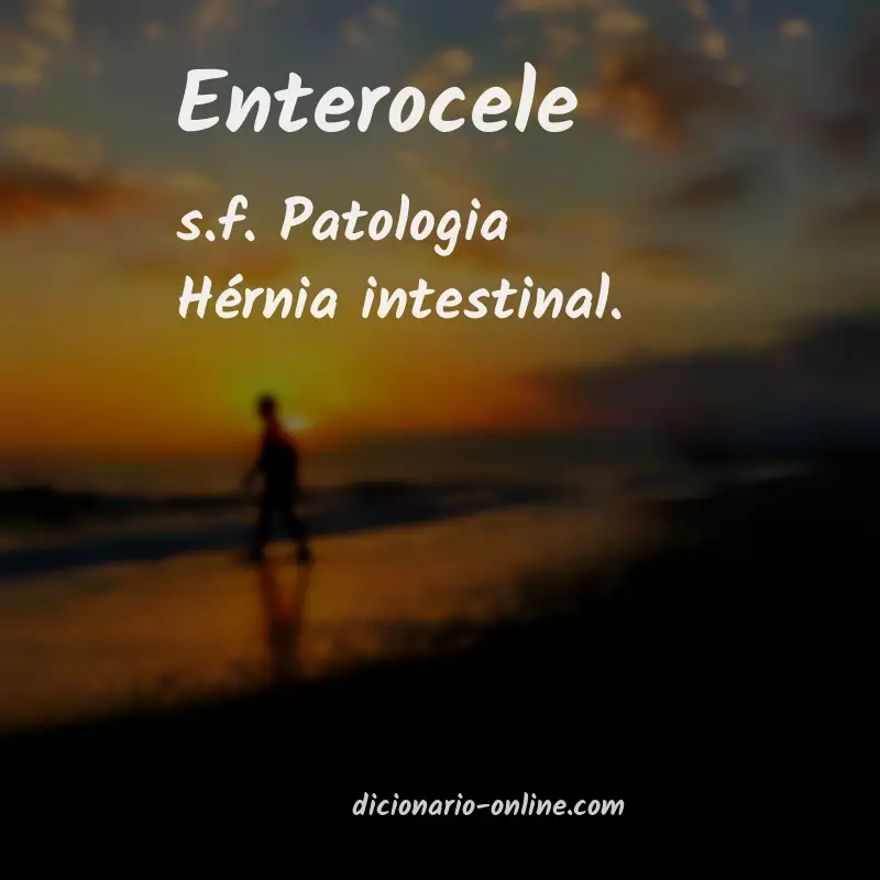 Significado de enterocele