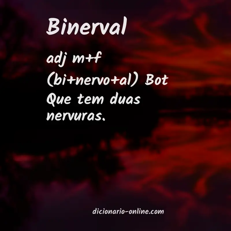 Significado de binerval
