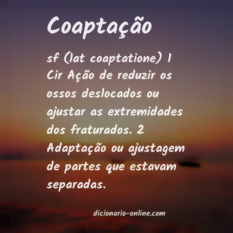 Significado de coaptação