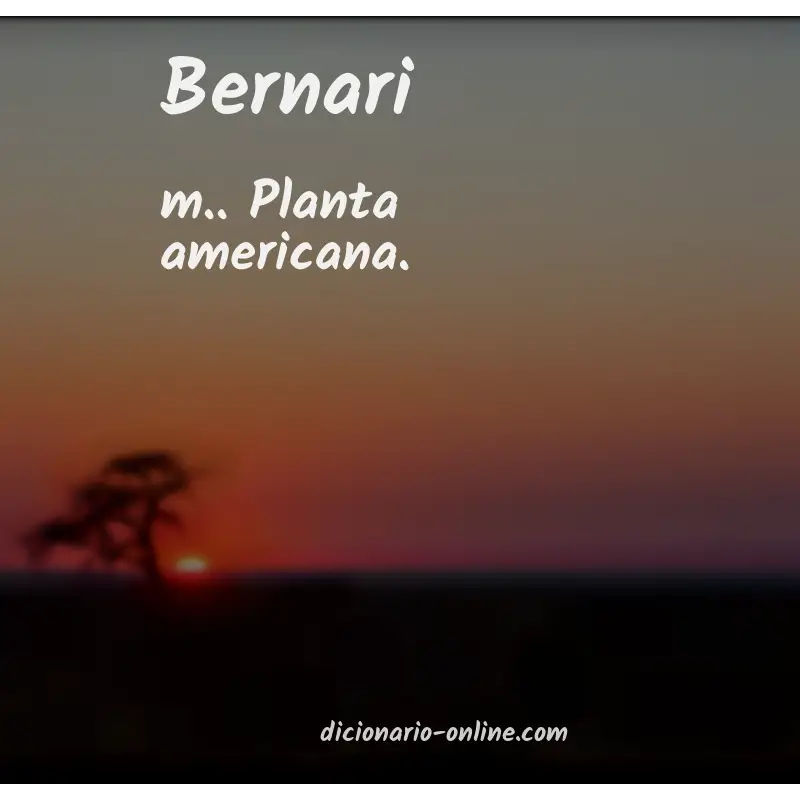 Significado de bernari