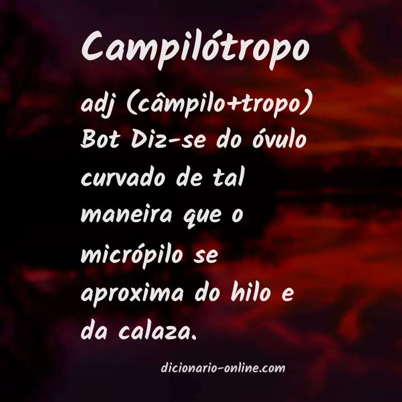 Significado de campilótropo