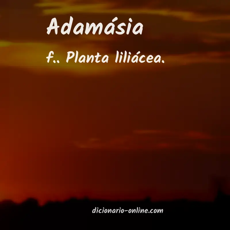 Significado de adamásia