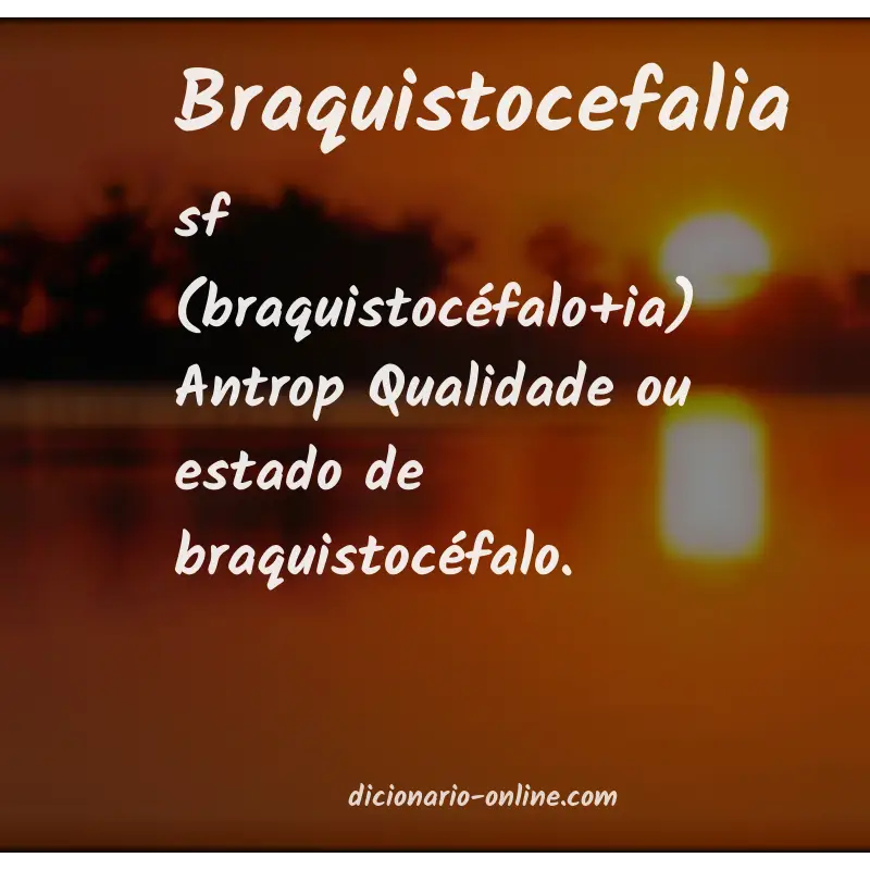 Significado de braquistocefalia