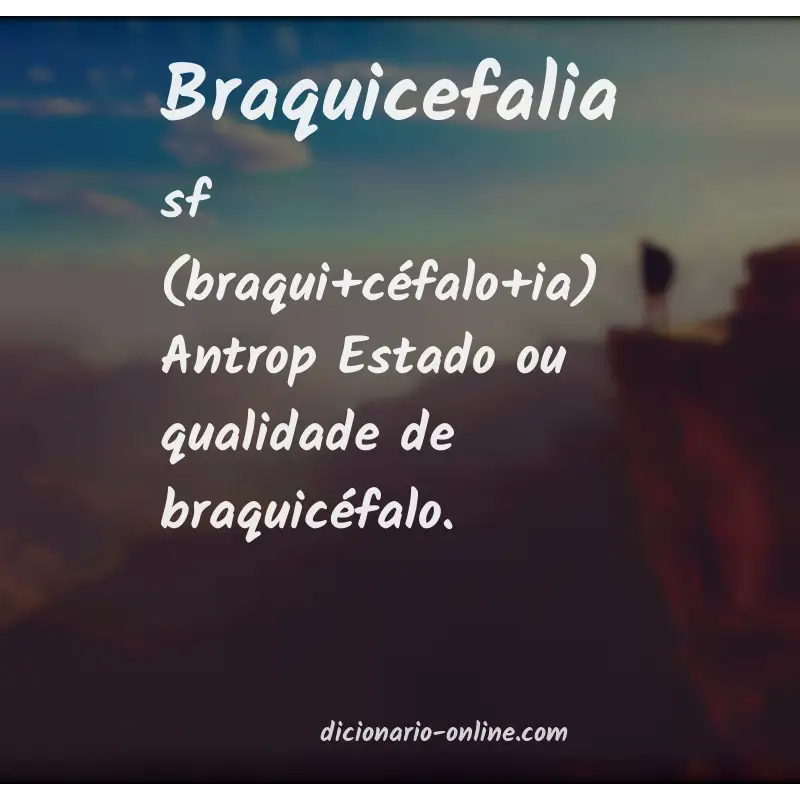 Significado de braquicefalia