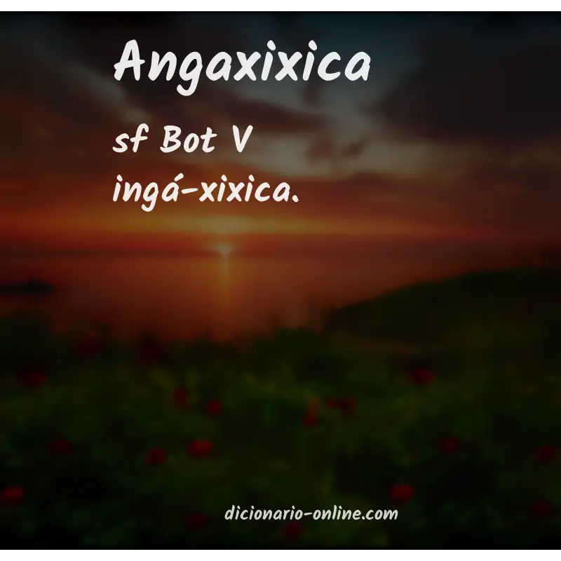 Significado de angaxixica