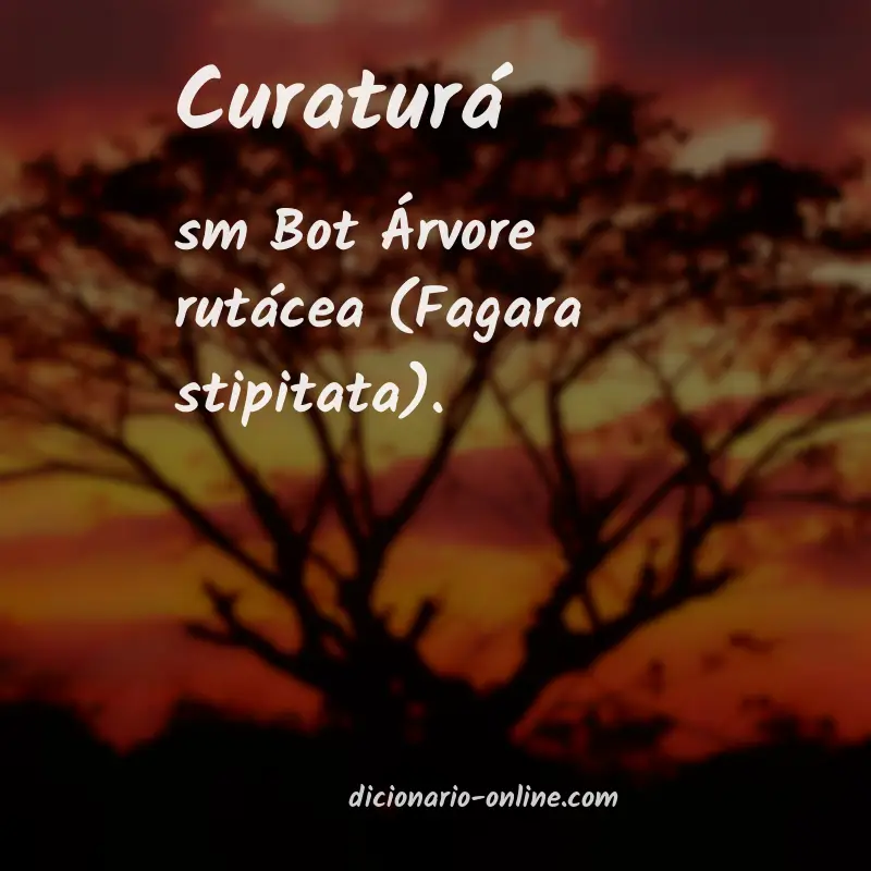 Significado de curaturá