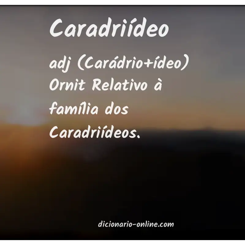Significado de caradriídeo